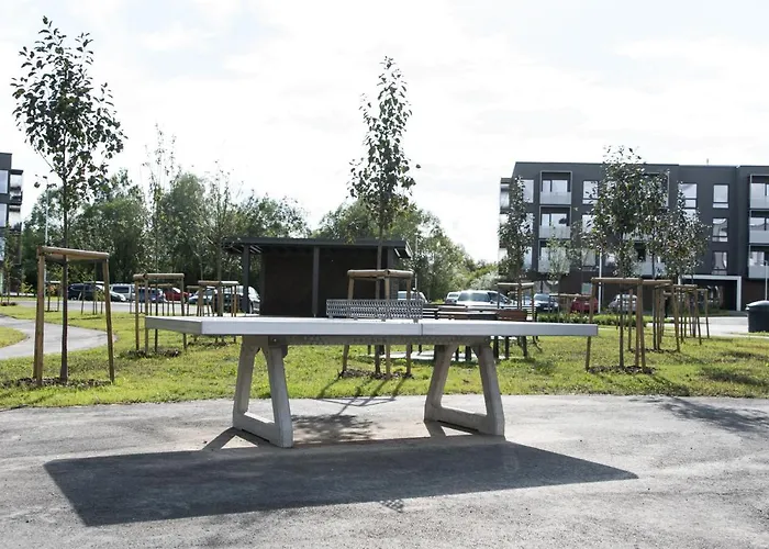 Raadiraja Kodu Erm'i Laehedal, Raadiraja 22 Tila