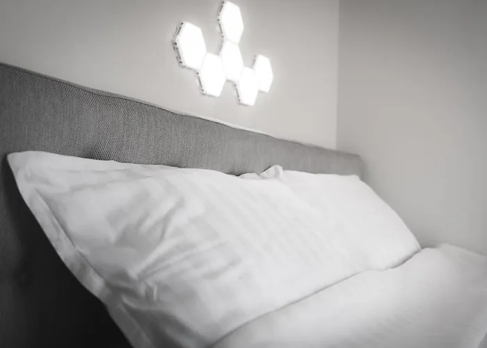 Apartment Raadiraja Kodu Erm'i Laehedal, Raadiraja 22 Tila