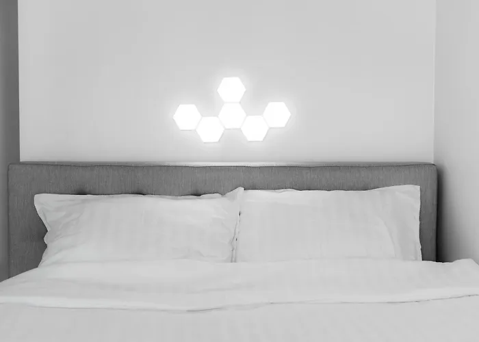 Raadiraja Kodu Erm'i Laehedal, Raadiraja 22 Apartment Tila