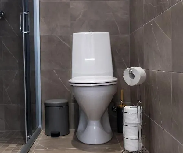 Raadiraja Kodu Erm'i Laehedal, Raadiraja 22 * Tila